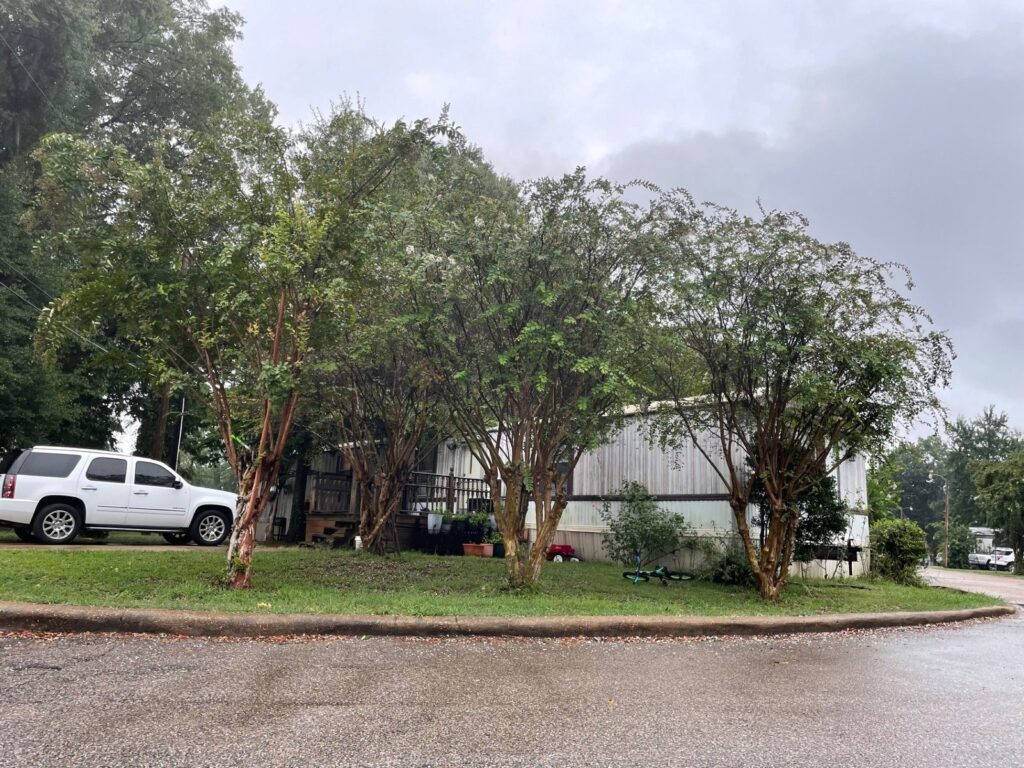 Home under shade trees at Bradford Trace Mobile Home Park in Hernando, MS