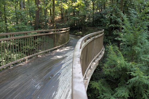 Wooded walkway at Garvan Woodland Gardens in Hot Springs, AR