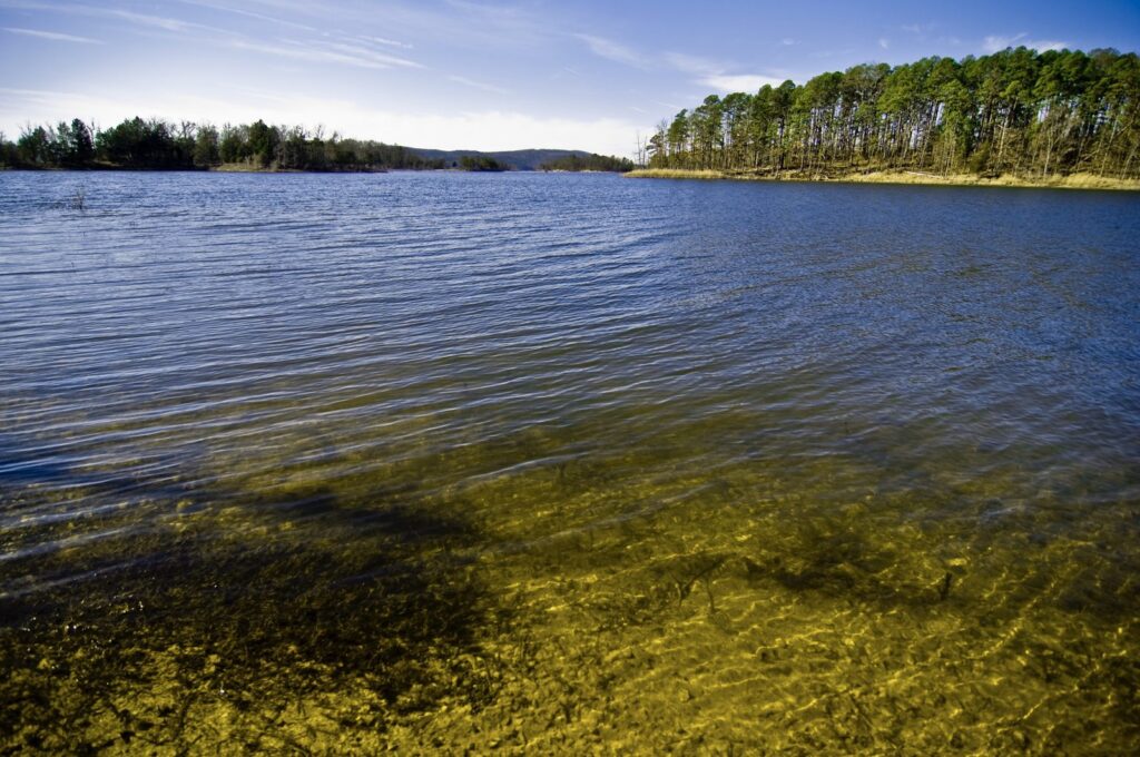 Lake in the Ouachita National Forest near Hot Springs, AR