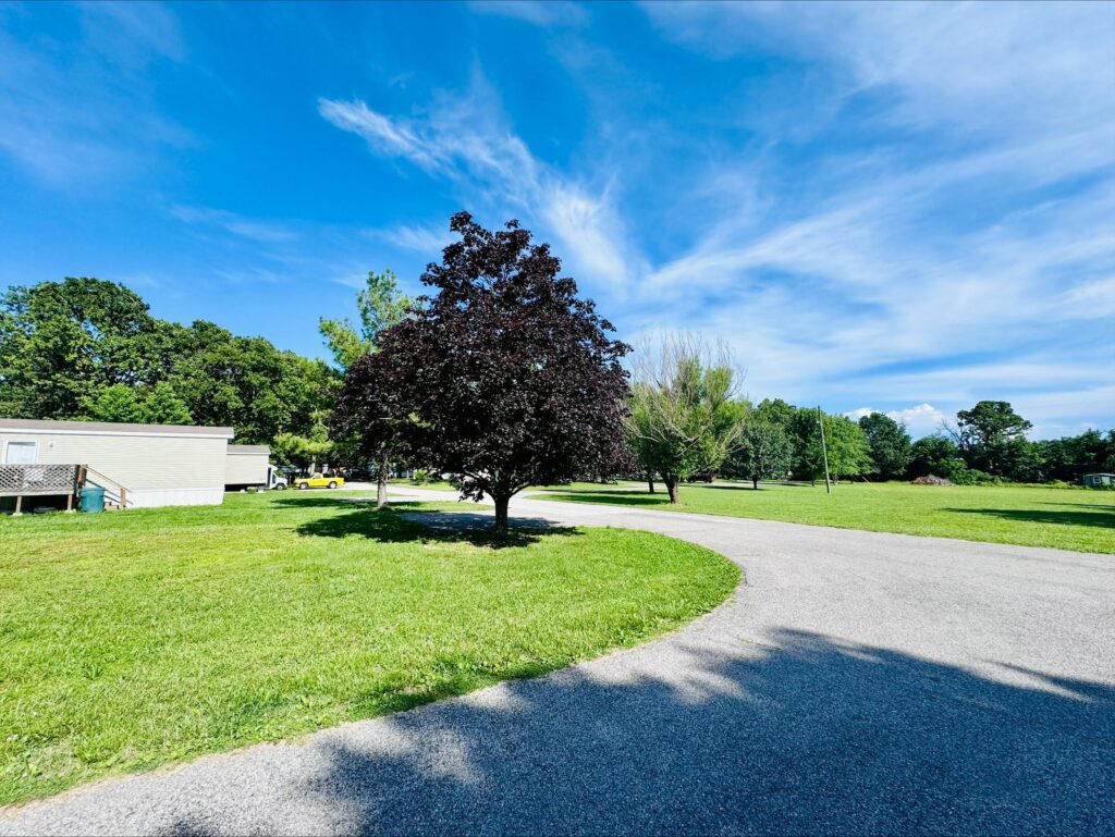 Open green grounds at Prospect Mobile Home Community in Aurora, MO